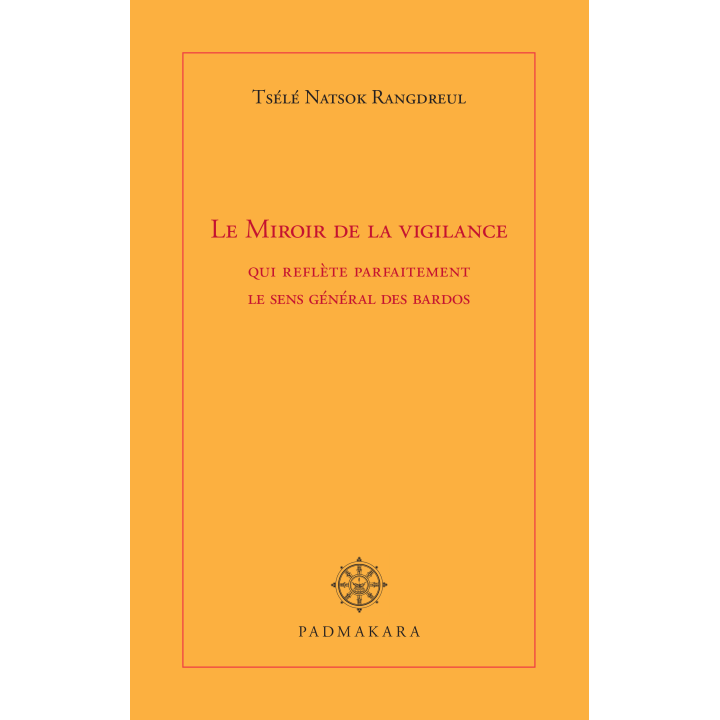 Miroir de la vigilance