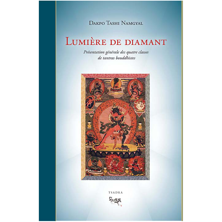 Lumière de diamant ebook - pdf