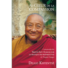 Au Coeur de la Compassion Commentaire des Trente-sept stances sur la pratique des bodhisattvas de Th