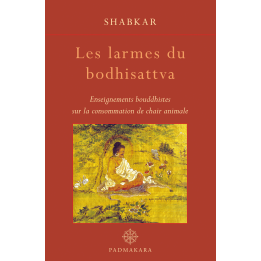 Les Larmes du bodhisattva