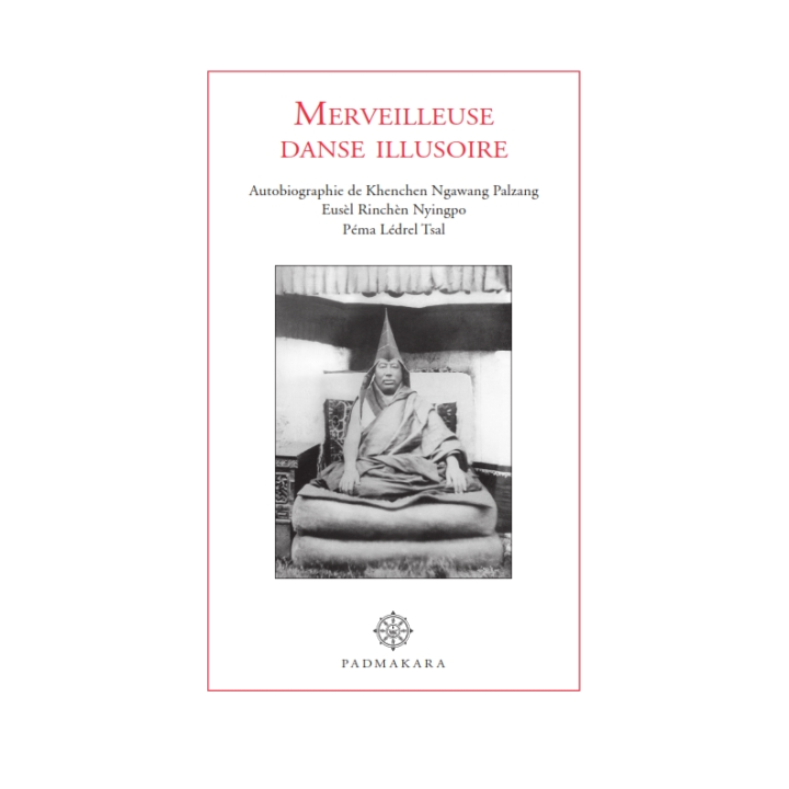 Merveilleuse Danse Illusoire