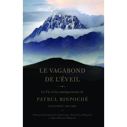 Vagabond de l'Éveil — ebook PDF