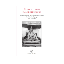 Merveilleuse Danse Illusoire — ebook PDF