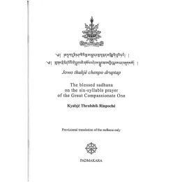 Blessed sadhana