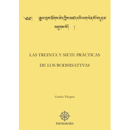 Treinta y siete practicas (Las)