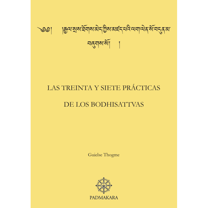 Treinta y siete practicas (Las)