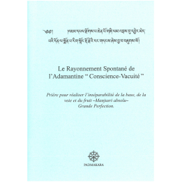 Le Rayonnement Spontané de l'Adaman