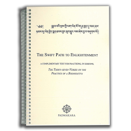 Swift Path to Enlightenment