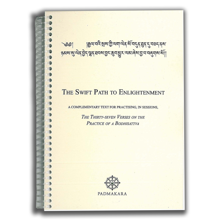 Swift Path to Enlightenment