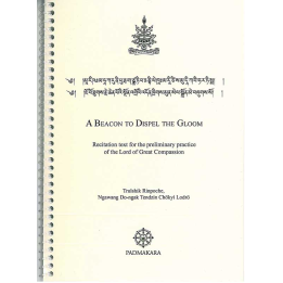 Beacon to dispell the Gloom — ebook PDF