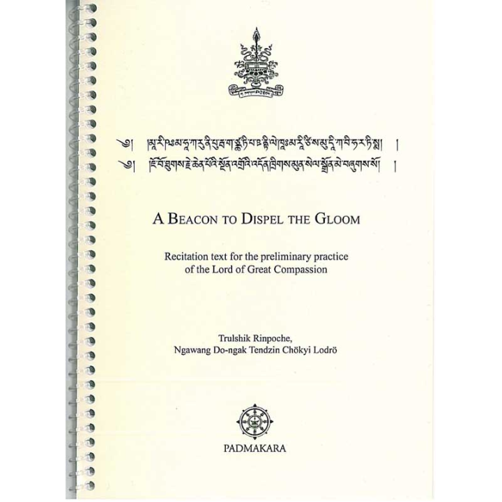Beacon to dispell the Gloom — ebook PDF