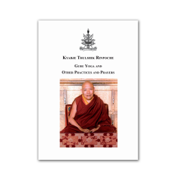 Kyabje Trulshik Rinpoche Guru Yoga and other practices — ebook PDF