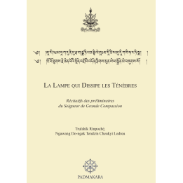 Lampe qui dissipe les ténèbres (La) — ebook PDF