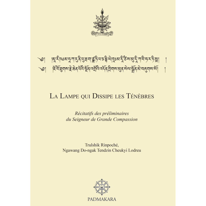 Lampe qui dissipe les ténèbres (La) — ebook PDF