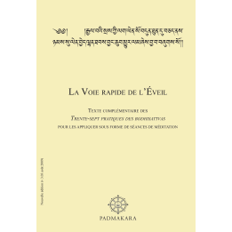Voie rapide de l'Eveil — ebook PDF