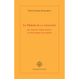 Miroir de la vigilance (ebook PDF)