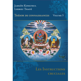 Les Instructions cruciales_Ebook_PDF