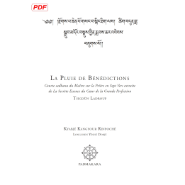 Pluie de Bénédictions (Compilation) — ebook PDF