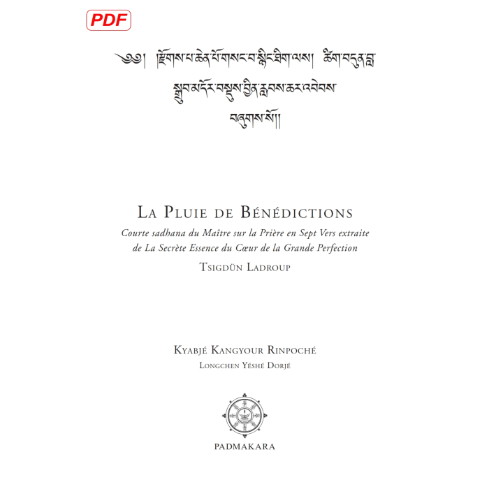 Pluie de Bénédictions (Compilation) — ebook PDF