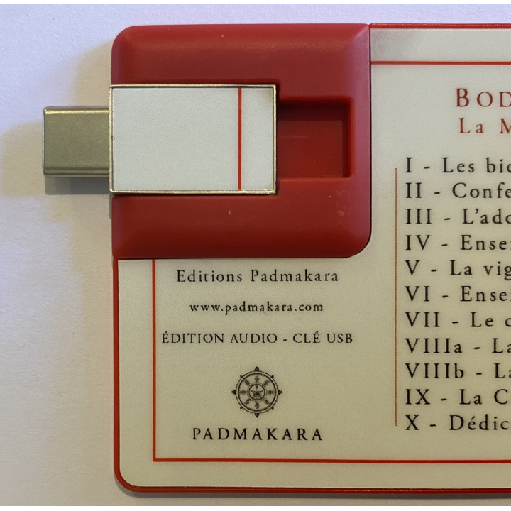 Bodhicaryâvatâra - La Marche vers l'Eveil Livre Audio Mp3 sur clé USB-A et USB-C