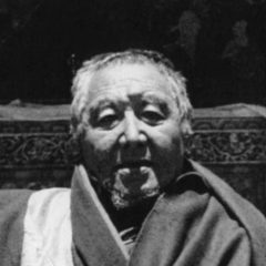 Ngawang Tenzin Norbu